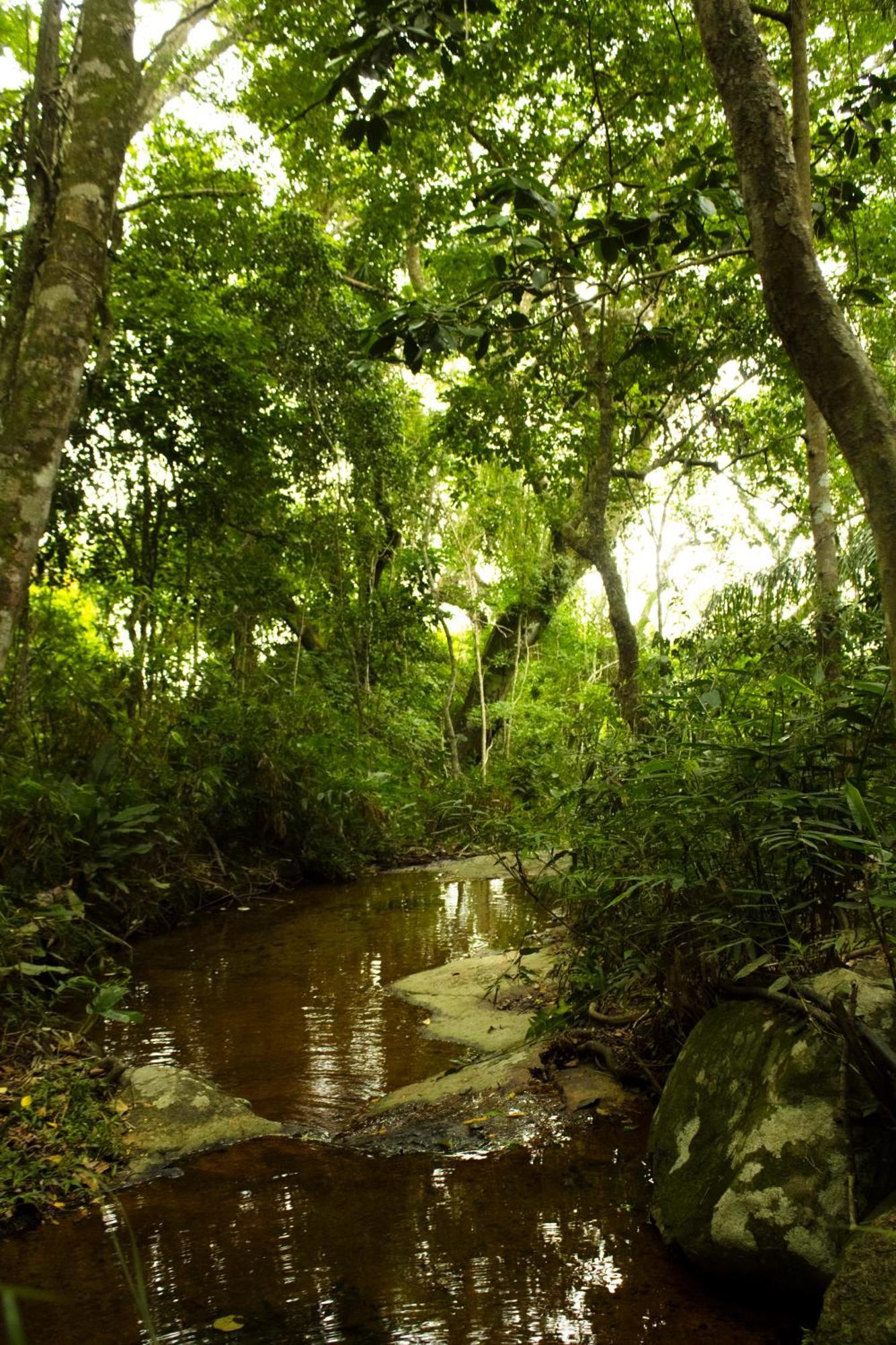 Soluna Hospedagem Familiar - Diarias De Acomodacoes Unicas Florianópolis Exteriör bild
